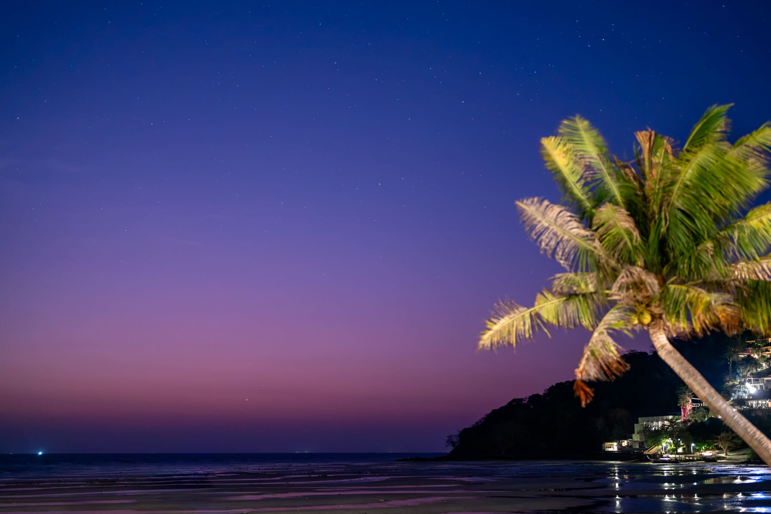 1 SAii PhiPhi Island Village Sky Gazing Palm Tree